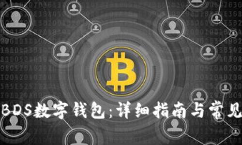 如何注册BDS数字钱包：详细指南与常见问题解答