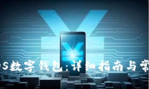 如何注册BDS数字钱包：详细指南与常见问题解答