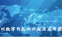 : 在漳州数字钱包的兴起与