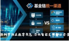 深圳罗湖区数字钱包：你