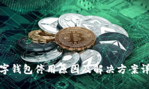 数字钱包停用原因及解决方案详解