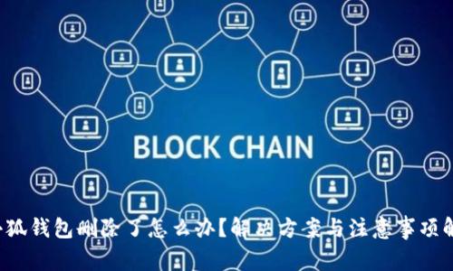 小狐钱包删除了怎么办？解决方案与注意事项解析