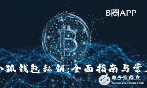 如何恢复小狐钱包私钥：全面指南与常见问题解答