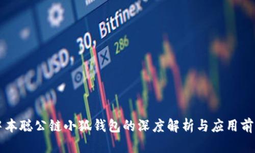 中本聪公链小狐钱包的深度解析与应用前景