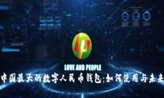 全面解析中国最大的数字