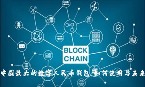 全面解析中国最大的数字人民币钱包：如何使用与未来发展趋势