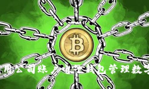 如何利用公司账户电子钱包管理数字货币？