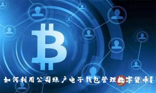 如何利用公司账户电子钱包管理数字货币？