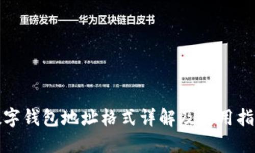 数字钱包地址格式详解及使用指南