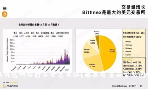 : 小狐钱包网站打不开怎么办？解决方案与常见问题解析