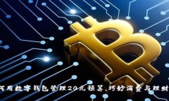  如何用数字钱包管理20元