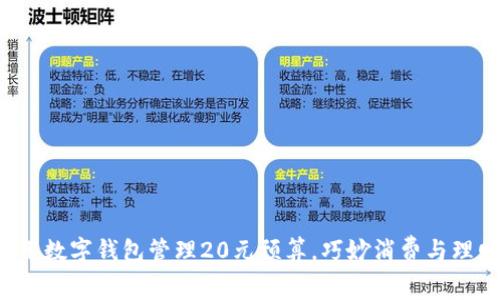  如何用数字钱包管理20元预算，巧妙消费与理财指南