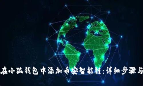 如何在小狐钱包中添加币安智能链：详细步骤与说明