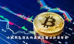 小狐钱包消失的原因及解