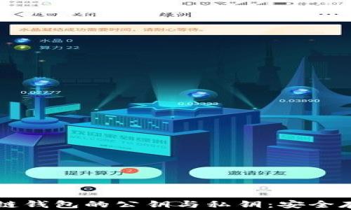 
深入了解区块链钱包的公钥与私钥：安全存储与管理指南