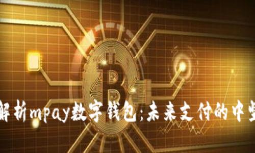 全面解析mpay数字钱包：未来支付的中坚力量