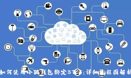   
如何使用小狐钱包绑定BTCS：详细流程图解析