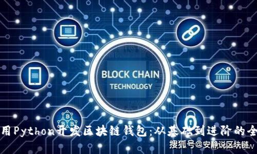 如何使用Python开发区块链钱包：从基础到进阶的全面指南