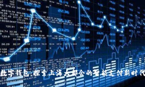 数字钱包：探索上海大都会的智能支付新时代