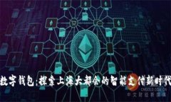 数字钱包：探索上海大都