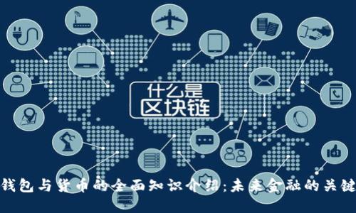 数字钱包与货币的全面知识介绍：未来金融的关键密码