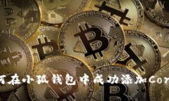 : 如何在小狐钱包中成功添