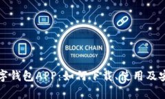 全面解析数字钱包APP：如