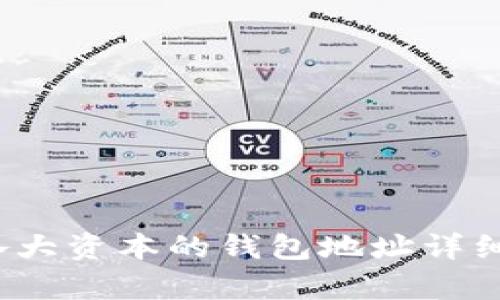 2023年区块链各大资本的钱包地址详细解析与风险分析