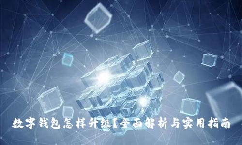 数字钱包怎样升级？全面解析与实用指南