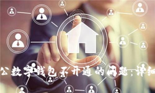 如何解决建行对公数字钱包不开通的问题：详细解析及解决方案