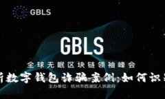全面解析数字钱包诈骗案
