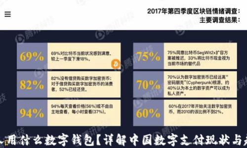 
国人用什么数字钱包？详解中国数字支付现状与趋势