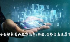 全面解析萧山数字钱包：