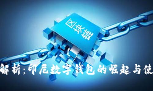 : 全面解析：印尼数字钱包的崛起与使用趋势