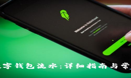 如何查看数字钱包流水：详细指南与常见问题解答