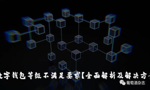 数字钱包等级不满足要求？全面解析及解决方案
