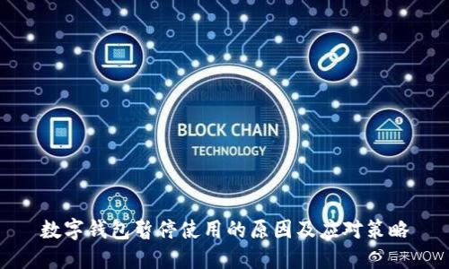 数字钱包暂停使用的原因及应对策略