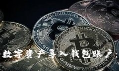 : 如何将数字资产导入钱包