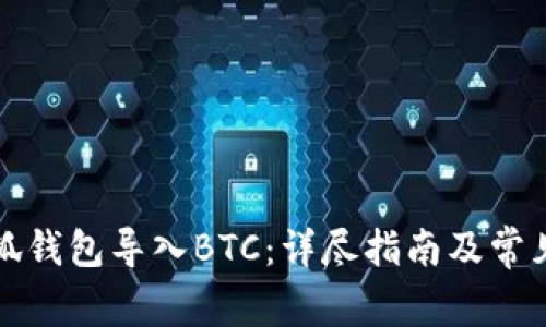如何在小狐钱包导入BTC：详尽指南及常见问题解答
