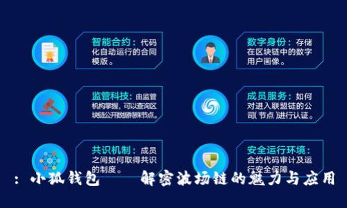 : 小狐钱包——解密波场链的魅力与应用