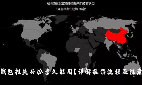 数字钱包挂失补办多久能用？详解操作流程及注意事项