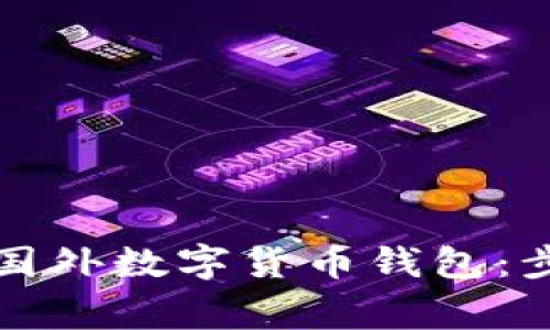 如何高效注册国外数字货币钱包：步骤与注意事项