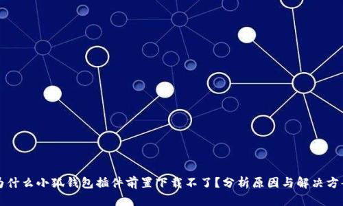 为什么小狐钱包插件前置下载不了？分析原因与解决方案
