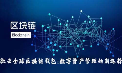 微云全球区块链钱包：数字资产管理的新选择