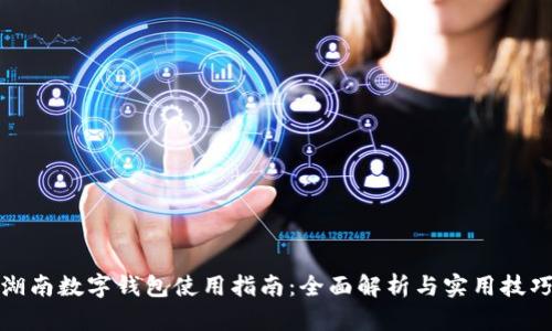湖南数字钱包使用指南：全面解析与实用技巧