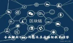 全面解析Bpay钱包及其区块