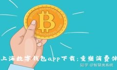 全面解析上海数字钱包a