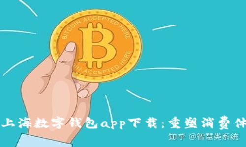 全面解析上海数字钱包app下载：重塑消费体验的未来