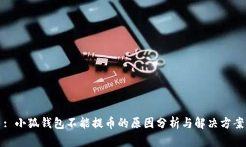 : 小狐钱包不能提币的原因分析与解决方案