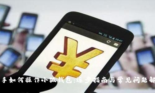 新手如何操作小狐钱包：逐步指南与常见问题解答